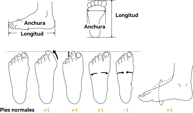 Size guide illustration